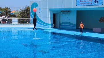 南知多ビーチランド＆南知多おもちゃ王国に投稿された画像（2025/5/6）