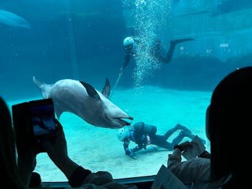 名古屋港水族館に投稿された画像（2025/5/6）