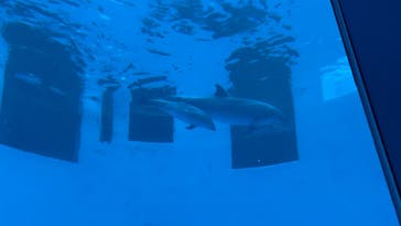 名古屋港水族館に投稿された画像（2025/5/6）