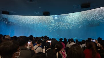 名古屋港水族館に投稿された画像（2025/5/6）