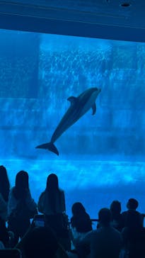 名古屋港水族館に投稿された画像（2025/5/6）