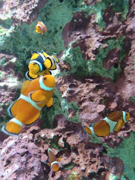 サンシャイン水族館に投稿された画像（2025/5/6）