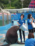 ゼロ距離水族館 伊勢シーパラダイスに投稿された画像（2025/5/6）