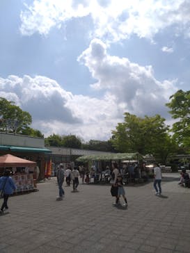 伊勢忍者キングダムに投稿された画像（2025/5/6）