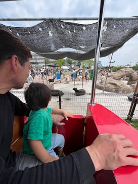 あらかわ遊園に投稿された画像（2025/5/6）