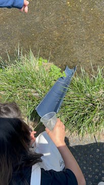 サケのふるさと 千歳水族館に投稿された画像（2025/5/6）