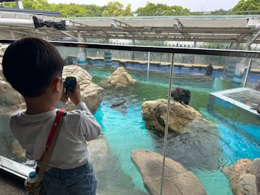 京都水族館に投稿された画像（2025/5/6）