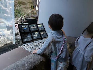 カワスイ 川崎⽔族館に投稿された画像（2025/5/6）