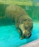 NIFREL（ニフレル）に投稿された画像（2025/5/6）