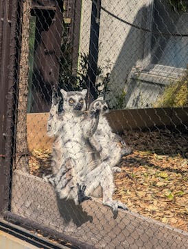 名古屋市東山動植物園に投稿された画像（2025/5/6）