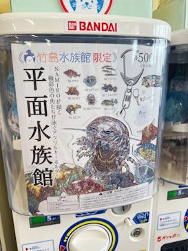 竹島水族館に投稿された画像（2025/5/6）