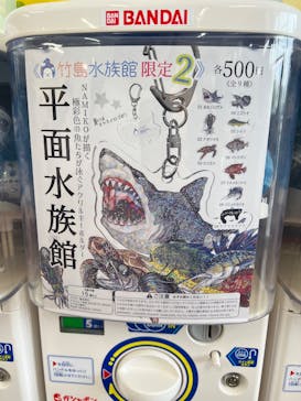 竹島水族館に投稿された画像（2025/5/6）