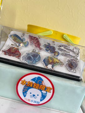 竹島水族館に投稿された画像（2025/5/6）