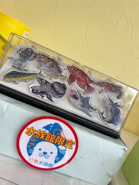 竹島水族館に投稿された画像（2025/5/6）