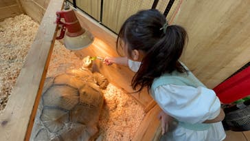 いきもの探検隊上尾に投稿された画像（2025/5/6）