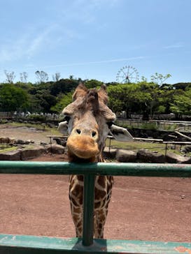 伊豆アニマルキングダムに投稿された画像（2025/5/6）