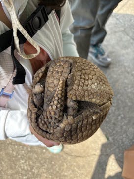 伊豆アニマルキングダムに投稿された画像（2025/5/6）