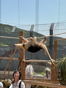 伊豆アニマルキングダムに投稿された画像（2025/5/6）