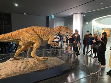 福井県立恐竜博物館に投稿された画像（2025/5/6）