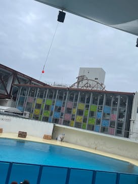 伊豆・三津シーパラダイスに投稿された画像（2025/5/6）