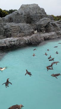 葛西臨海水族園に投稿された画像（2025/5/6）