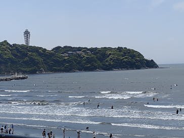 新江ノ島水族館に投稿された画像（2025/5/6）