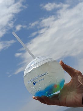 新江ノ島水族館に投稿された画像（2025/5/6）