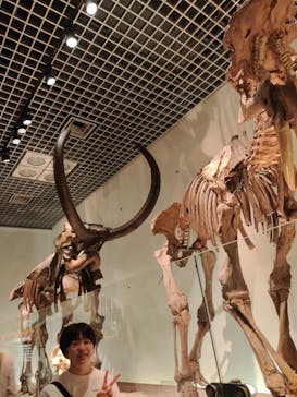 国立科学博物館に投稿された画像（2025/5/6）