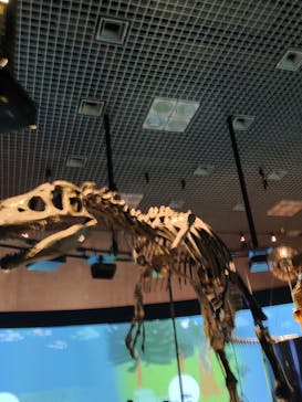 国立科学博物館に投稿された画像（2025/5/6）