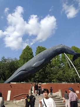 国立科学博物館に投稿された画像（2025/5/6）