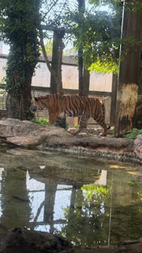 恩賜上野動物園に投稿された画像（2025/5/6）