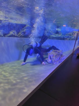 すみだ水族館に投稿された画像（2025/5/6）