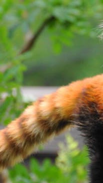 天王寺動物園に投稿された画像（2025/5/6）