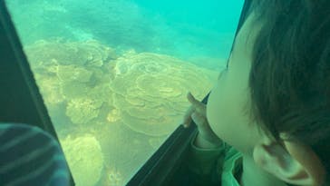 串本海中公園水族館に投稿された画像（2025/5/6）