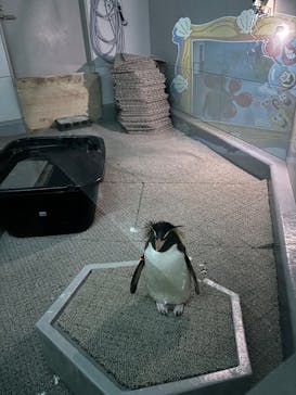 AOAO SAPPOROに投稿された画像（2025/5/6）