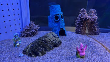 AOAO SAPPOROに投稿された画像（2025/5/6）