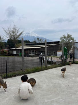 まかいの牧場に投稿された画像（2025/5/6）