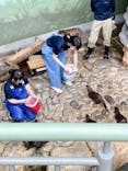 世界淡水魚園水族館　アクア・トトぎふに投稿された画像（2025/5/6）