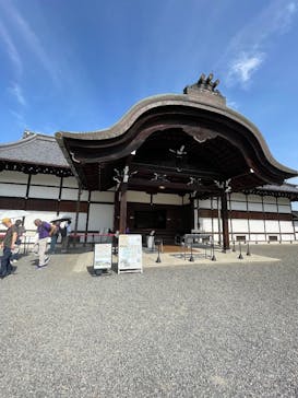 元離宮二条城に投稿された画像（2025/5/6）