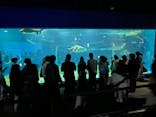 アクアワールド茨城県大洗水族館に投稿された画像（2025/5/6）