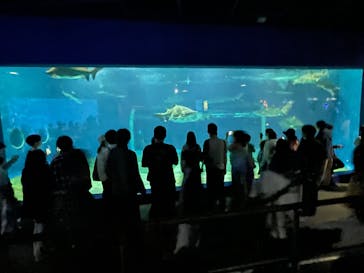 アクアワールド茨城県大洗水族館に投稿された画像（2025/5/6）