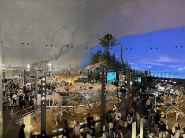 福井県立恐竜博物館に投稿された画像（2025/5/6）