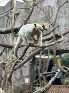 那須どうぶつ王国に投稿された画像（2025/5/6）