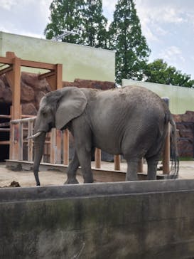 東武動物公園に投稿された画像（2025/5/6）