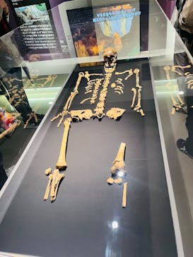 特別展「古代DNA－日本人のきた道」（国立科学博物館）に投稿された画像（2025/5/6）