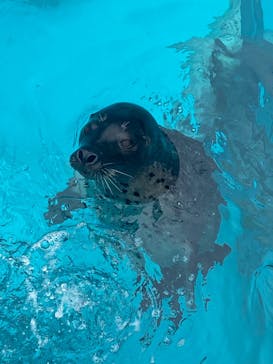 マリンワールド海の中道に投稿された画像（2025/5/6）