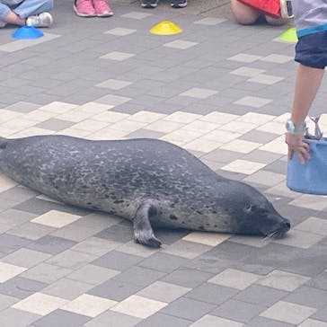 マリンワールド海の中道に投稿された画像（2025/5/6）