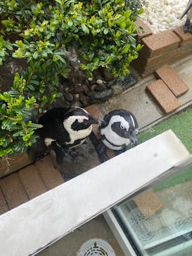 マリンワールド海の中道に投稿された画像（2025/5/6）