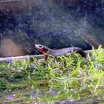 マリンワールド海の中道に投稿された画像（2025/5/6）