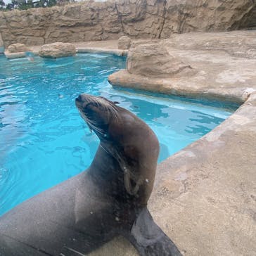 マリンワールド海の中道に投稿された画像（2025/5/6）